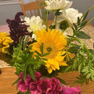 Meet your Posher, Alisa